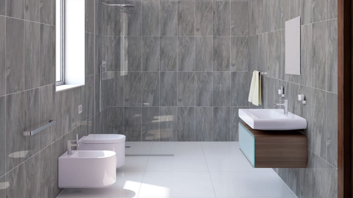 African Slate 30×60 Grey Matt