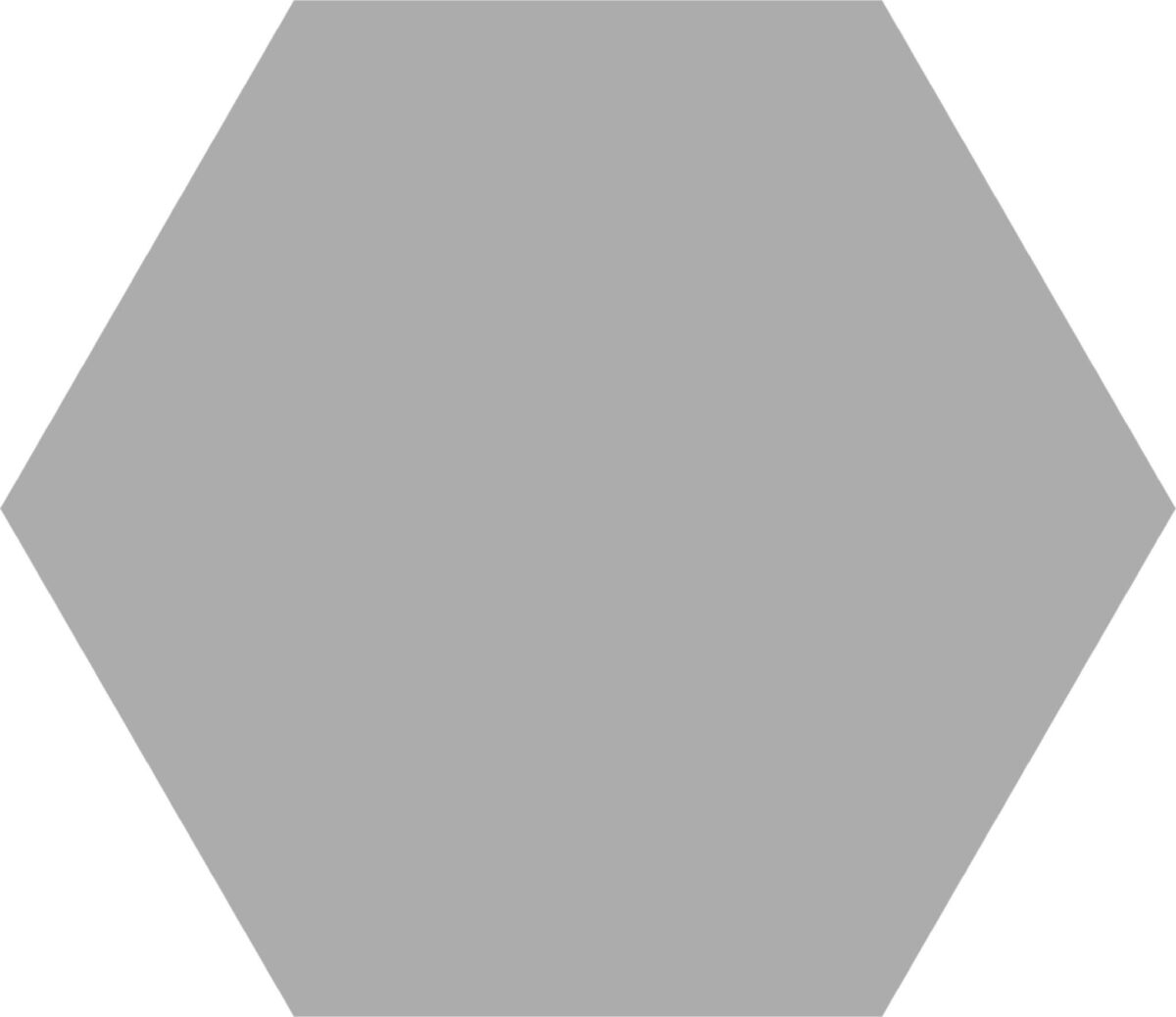 Basic Hex 25 Silver Matt R9