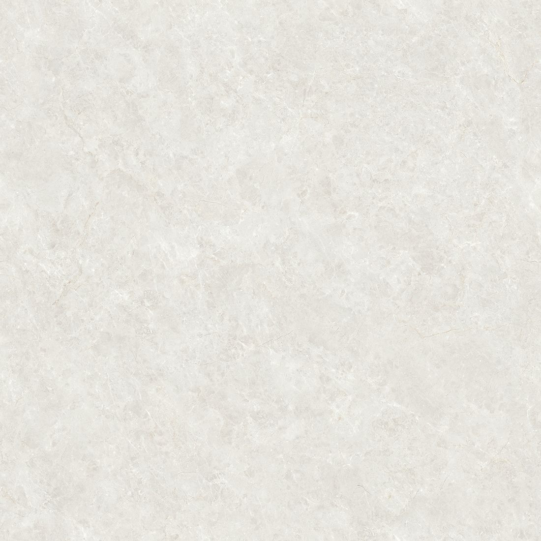 Bellini 80×80 Bone Polished