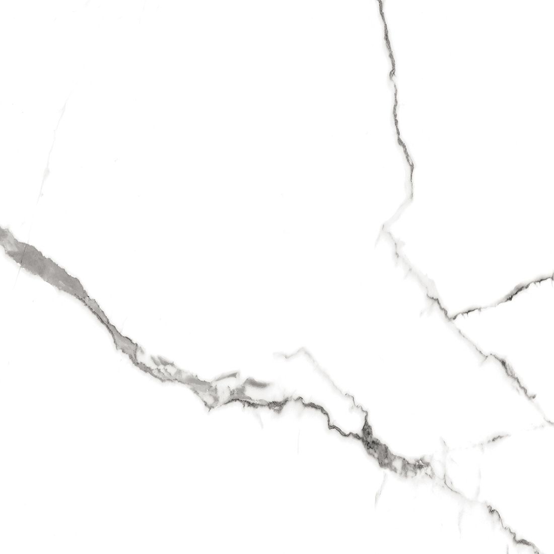 Citadel 60×60 Grey Polished