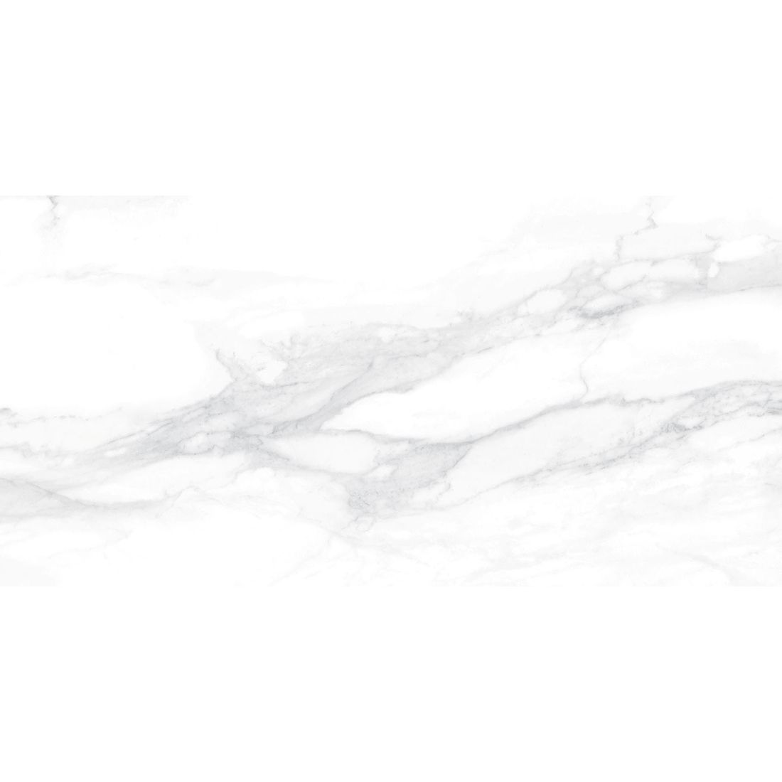 Colosseum 30×60 White Matt R10