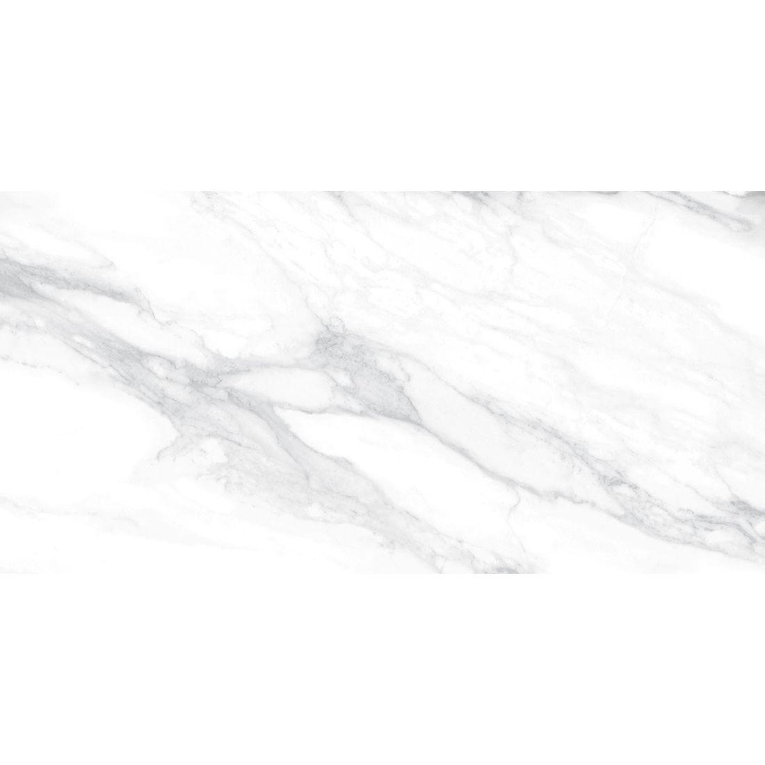 Colosseum 60×120 White Polished