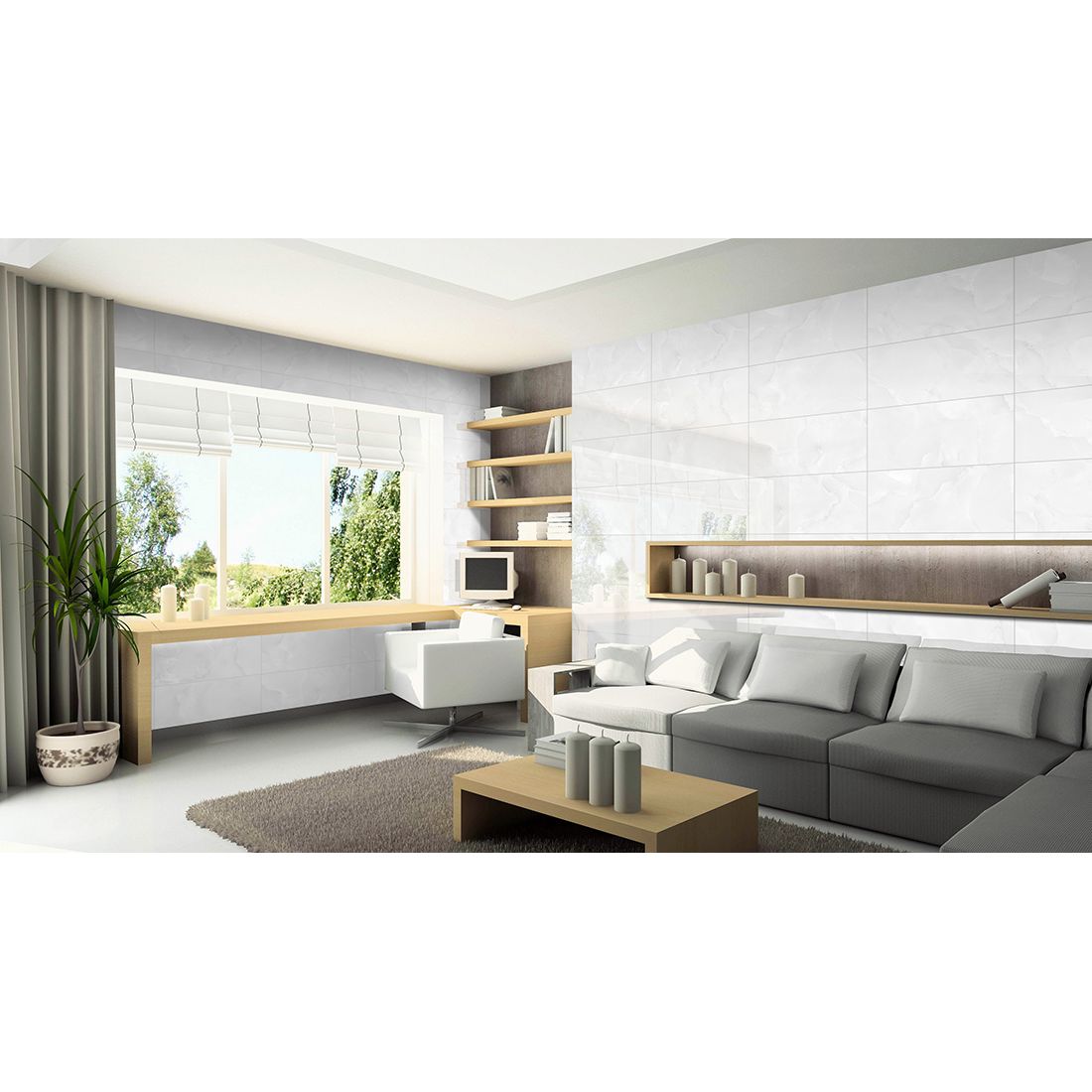 Emola 30×60 Grey Polished