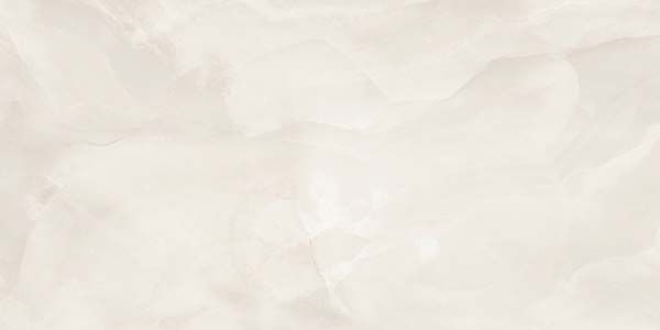 Fashion 60×120 Gris Polished