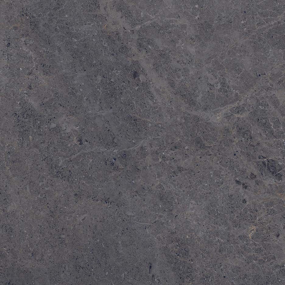Fossil 60×60 Anthracite Polished