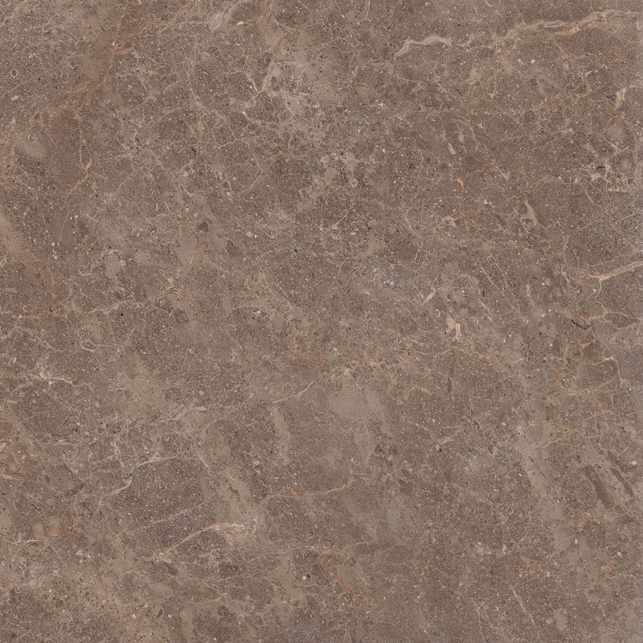 Fossil 60×60 Walnut Polished