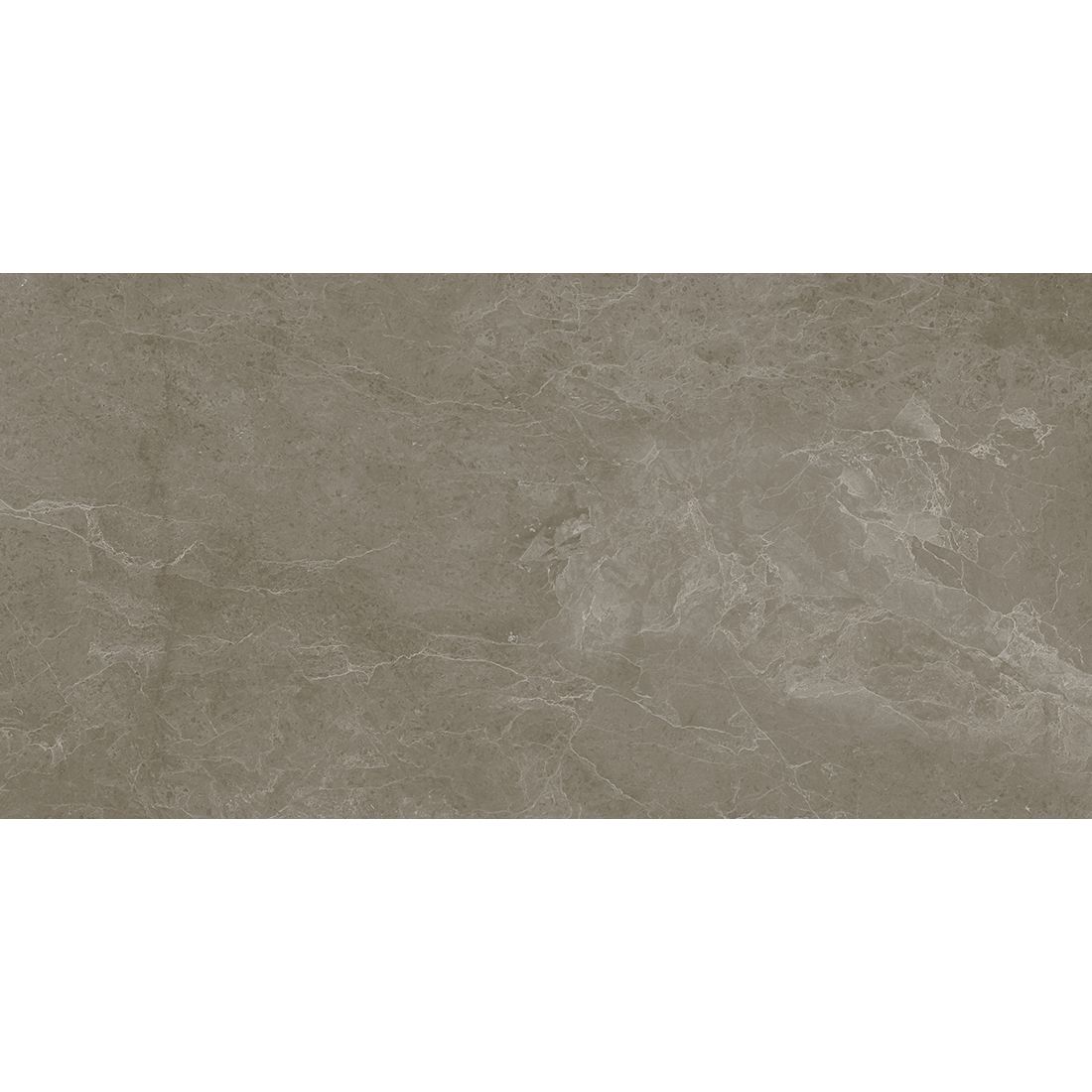 Leyland 60×120 Forest Matt