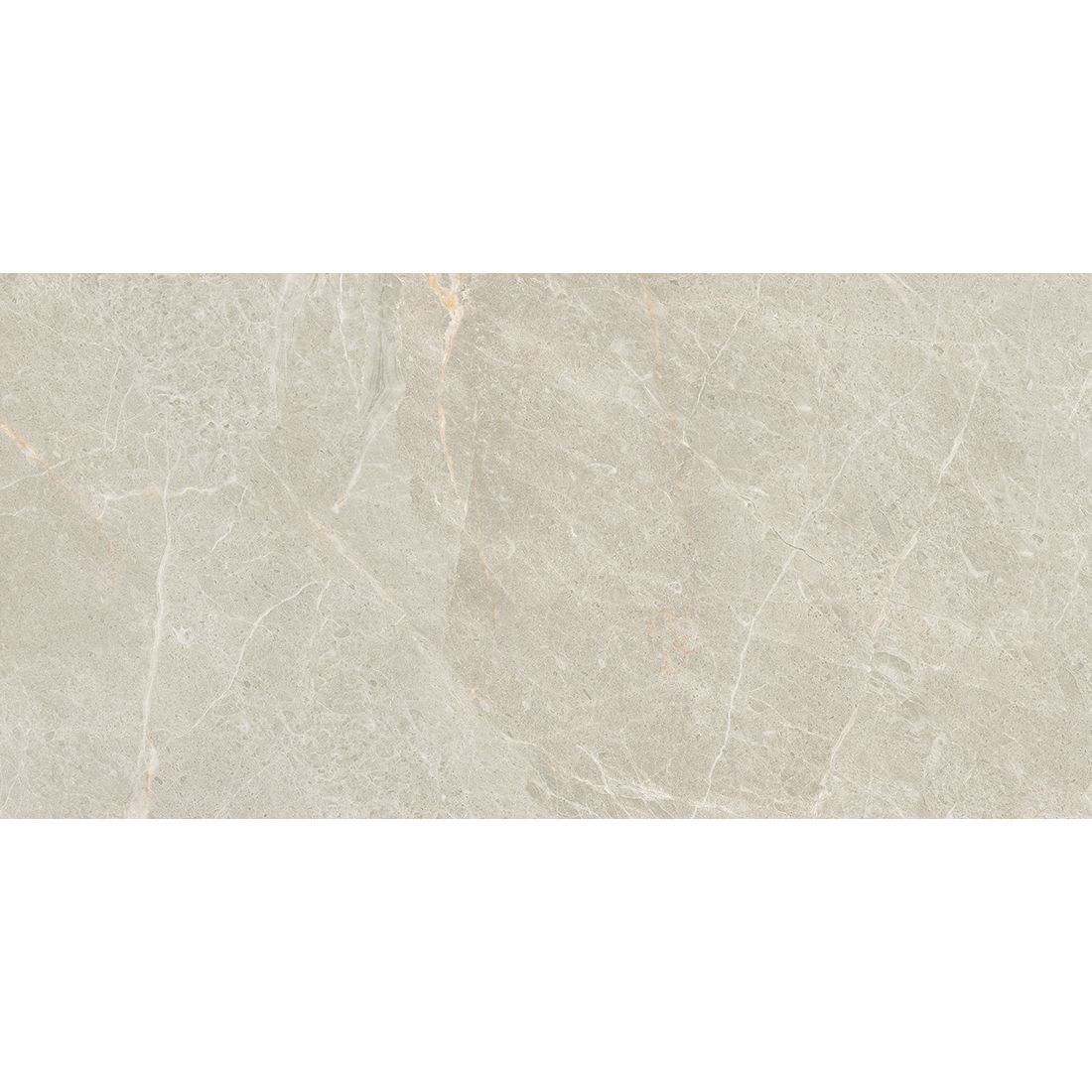 Mineral Stone 29.5×60 Silver Matt R9