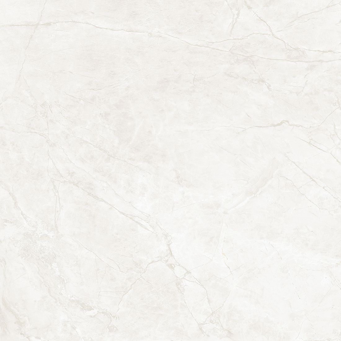 Moray 60×60 Pearl Polished
