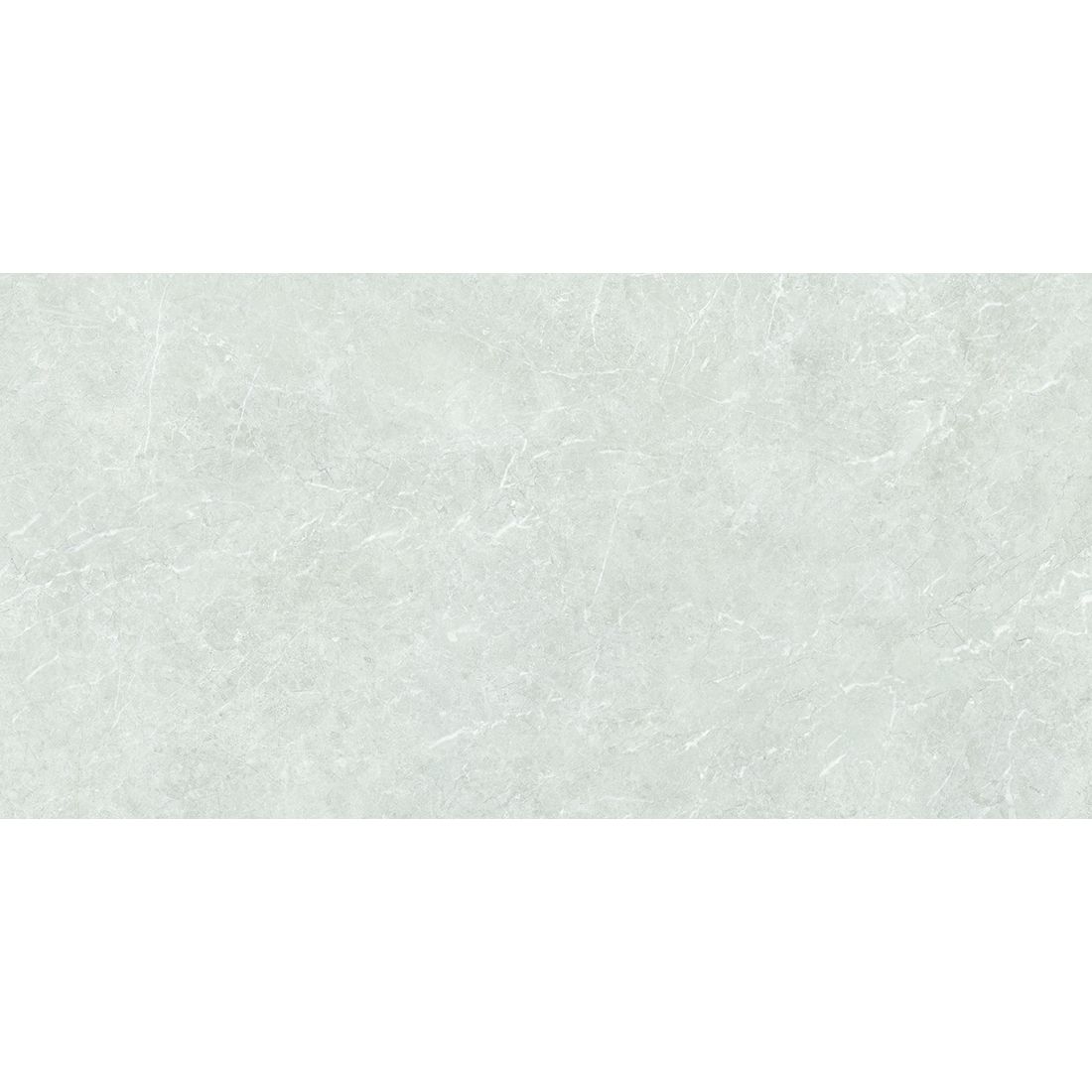 Platina Grande 60×120 Earth Matt