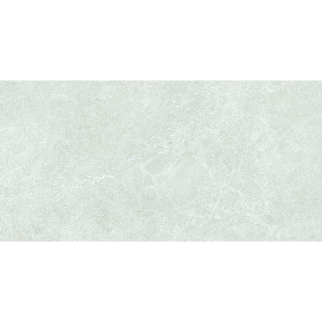 Platina Grande 60×120 Earth Polished