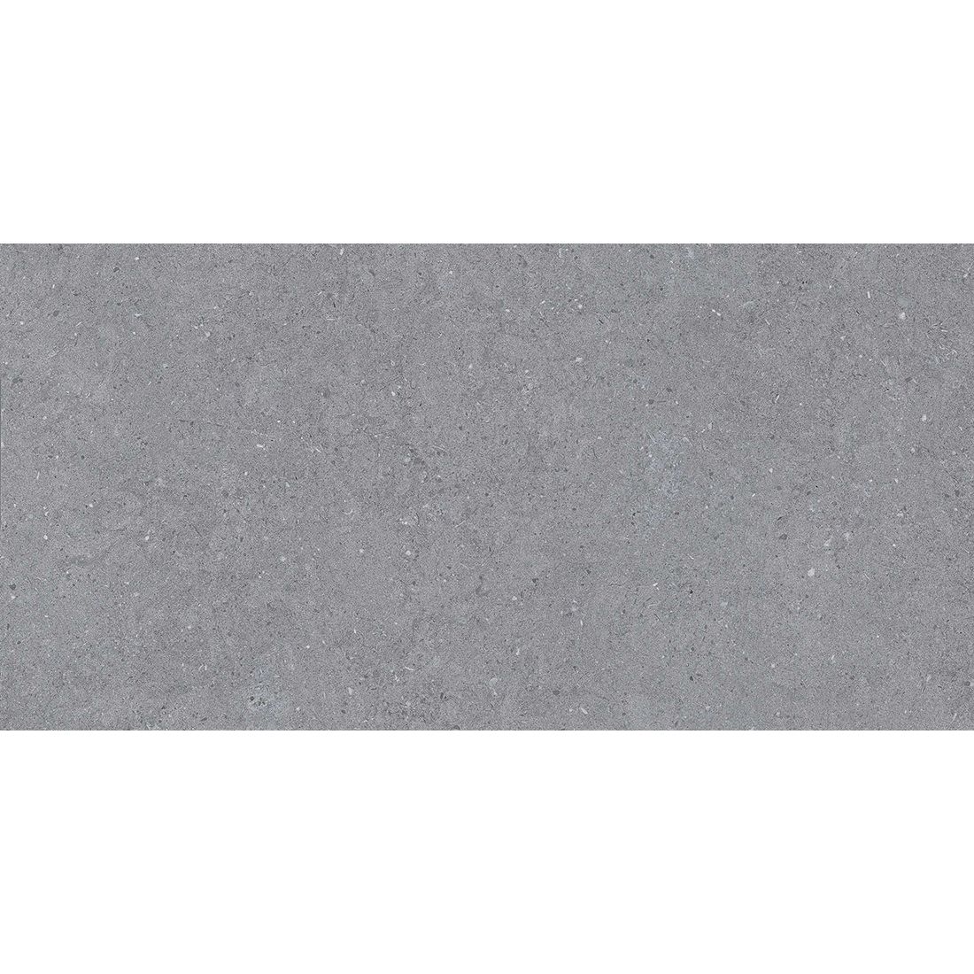 Shropshire 29.5×60 Anthracite Matt R9
