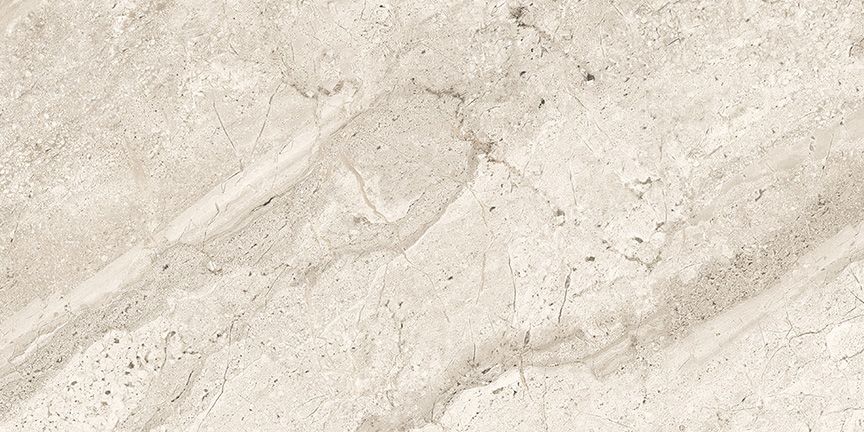 Trampoid 30×60 Ice Polished